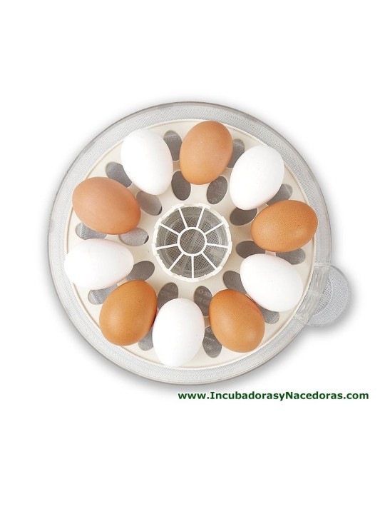 Incubadora Rcom 10 PRO con huevos de gallina