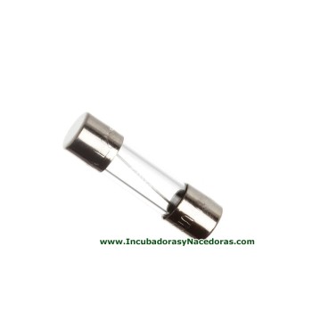 Fusible incubadora Covatutto