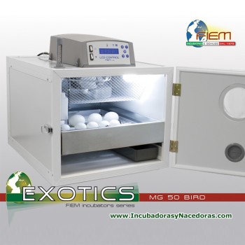 Incubadora Fiem MG50 Bird automática para aves exótica, loro y rapaces