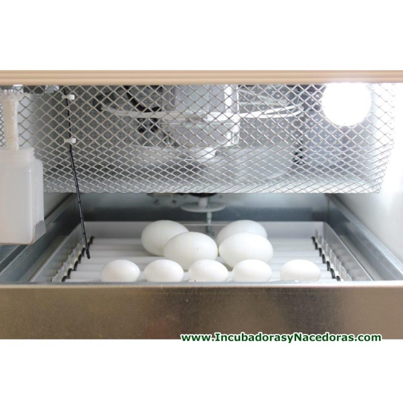 Incubadora Fiem MG50 Bird automática para aves exótica, loro y rapaces