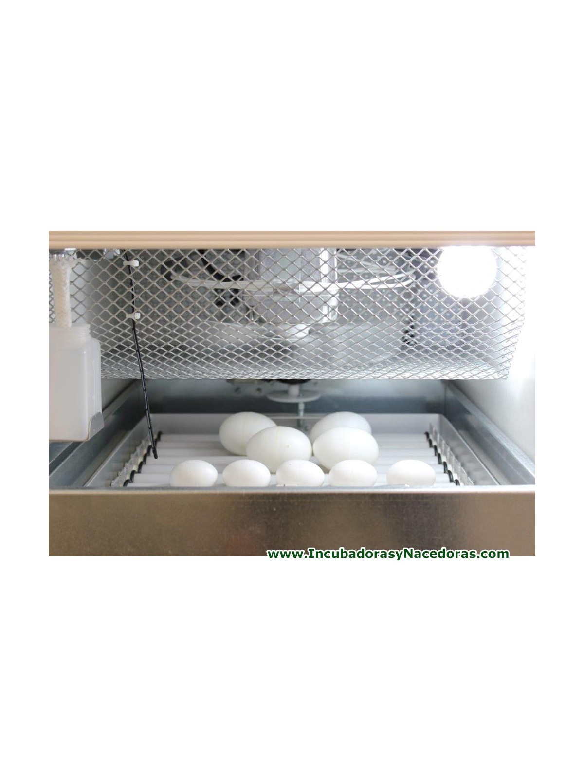 Incubadora Fiem MG50 Bird automática para aves exótica, loro y rapaces