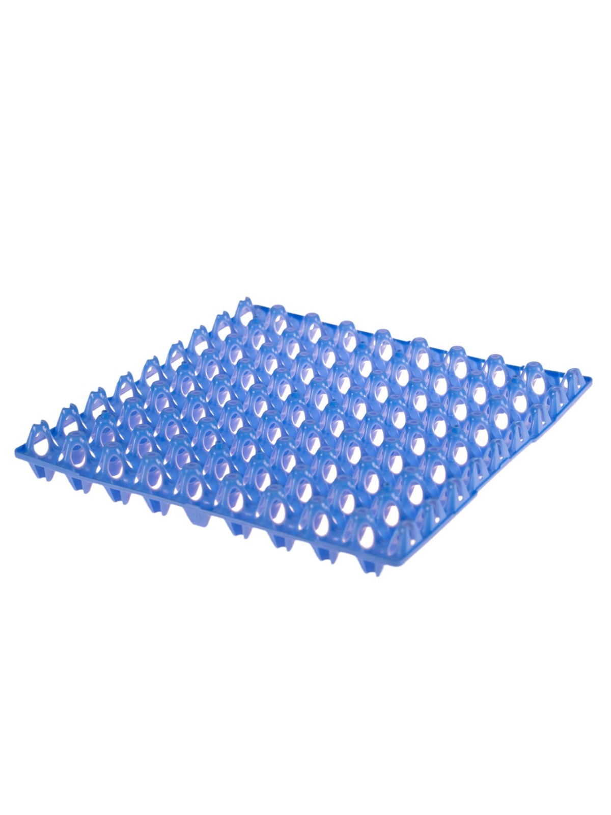 Huevera para 72 huevos de codorniz