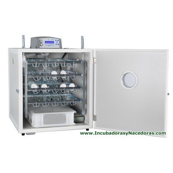 Incubadora Fiem MG140/200 Rurale