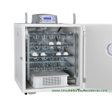 Incubadora Fiem MG140/200 Rurale bandejas gallinas