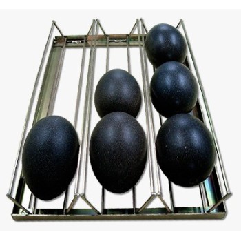 Bandeja cuna porta huevos Emus