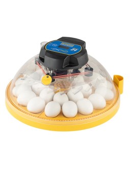 Incubadora automática Brinsea Maxi 24 Advance