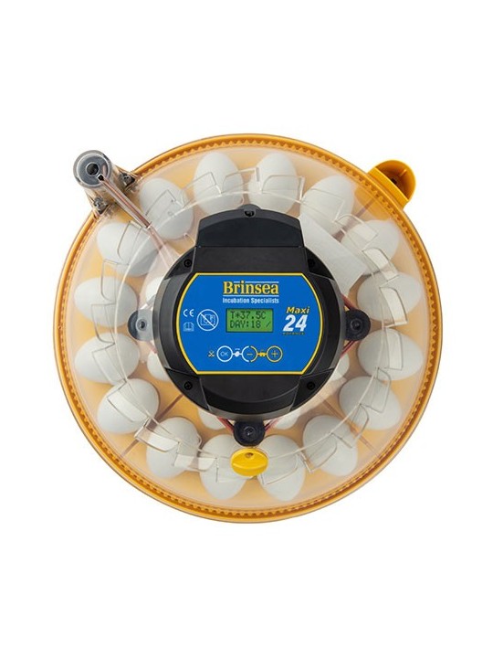 Incubadora automática Brinsea Maxi 24 Advance