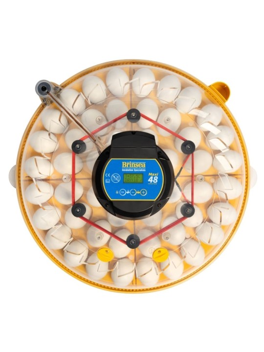 Incubadora BRINSEA Maxi 48 Advance | Volteo Automático