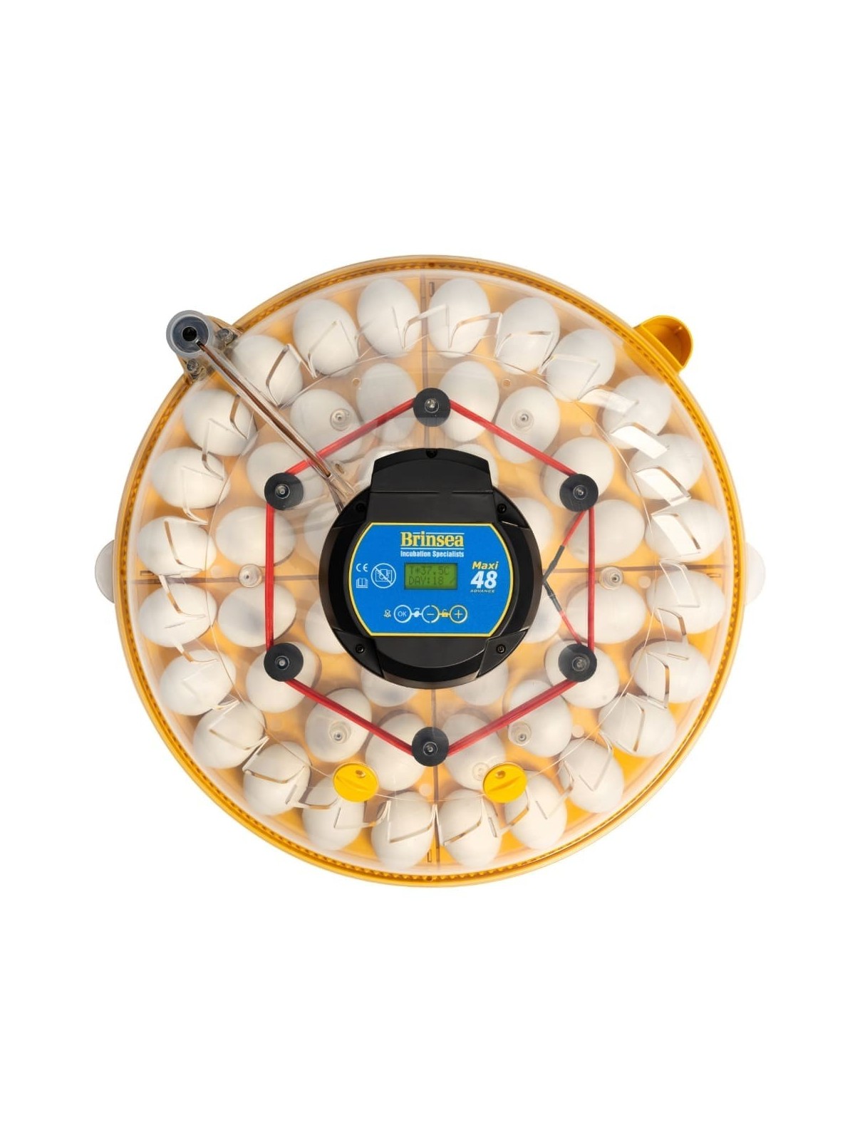 Incubadora BRINSEA Maxi 48 Advance | Volteo Automático