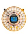 Incubadora BRINSEA Maxi 48 EX | Humedad Automática