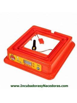 Placa electrónica incubadora COVATUTTO 162 didital