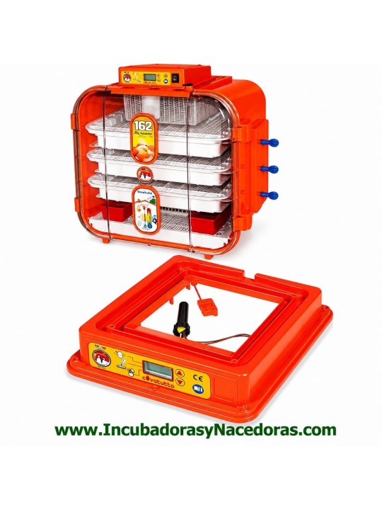 Placa electrónica incubadora COVATUTTO 162 didital