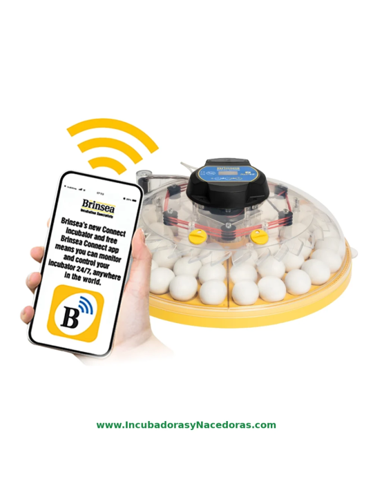 Incubadora Brinsea Maxi 48 Connect | Control móvil