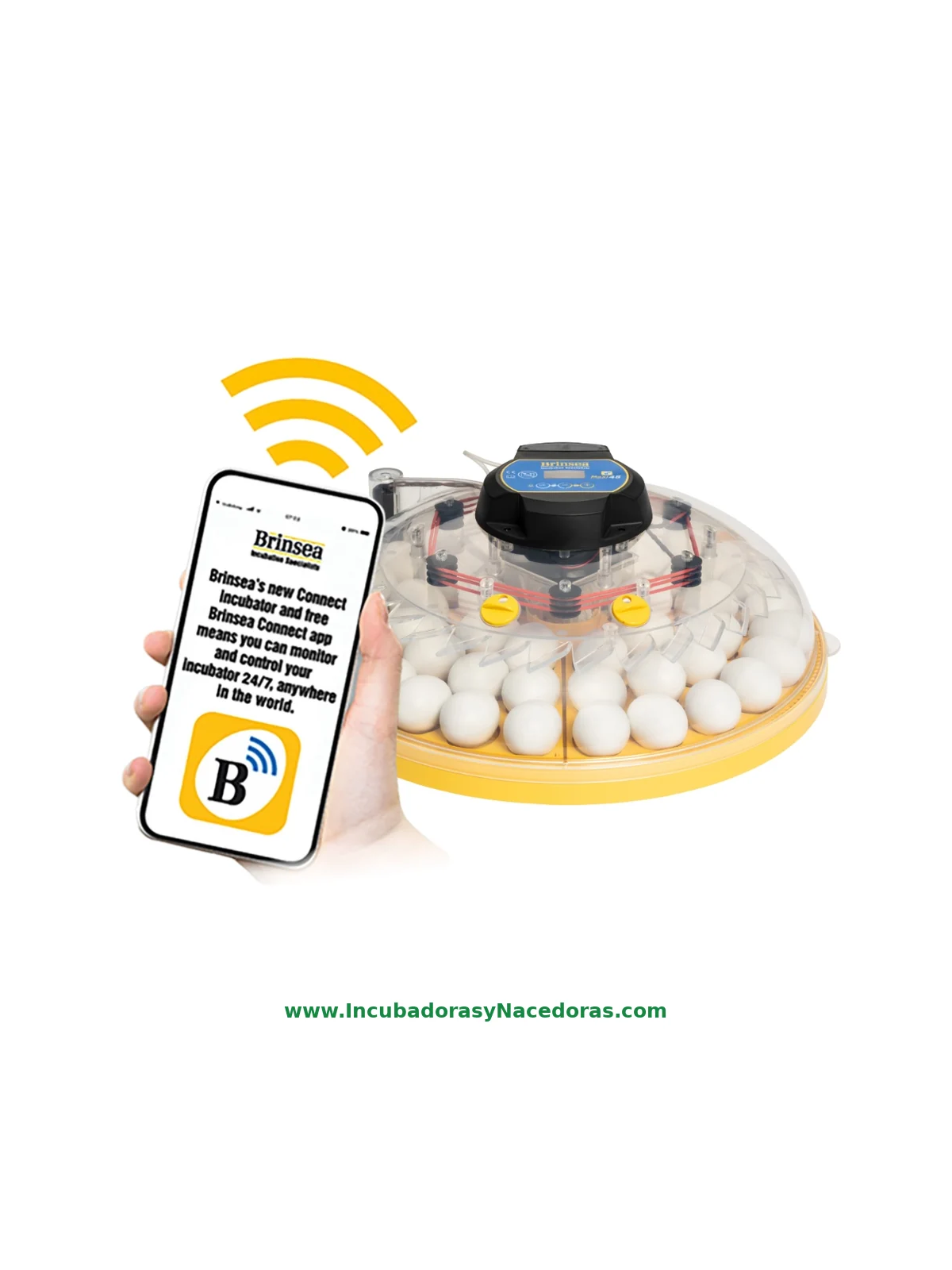 Incubadora Brinsea Maxi 48 Connect | Control móvil