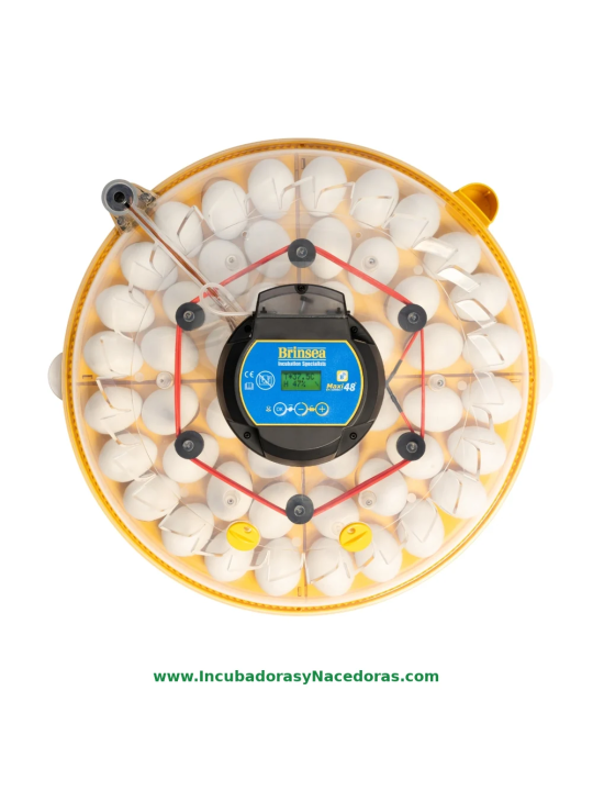 Incubadora Brinsea Maxi 48 Connect | Control móvil