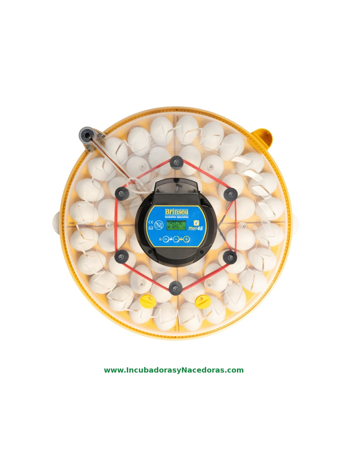Incubadora Brinsea Maxi 48 Connect | Control móvil