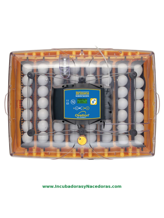 Incubadora Brinsea Ovation 56 Connect | Control móvil