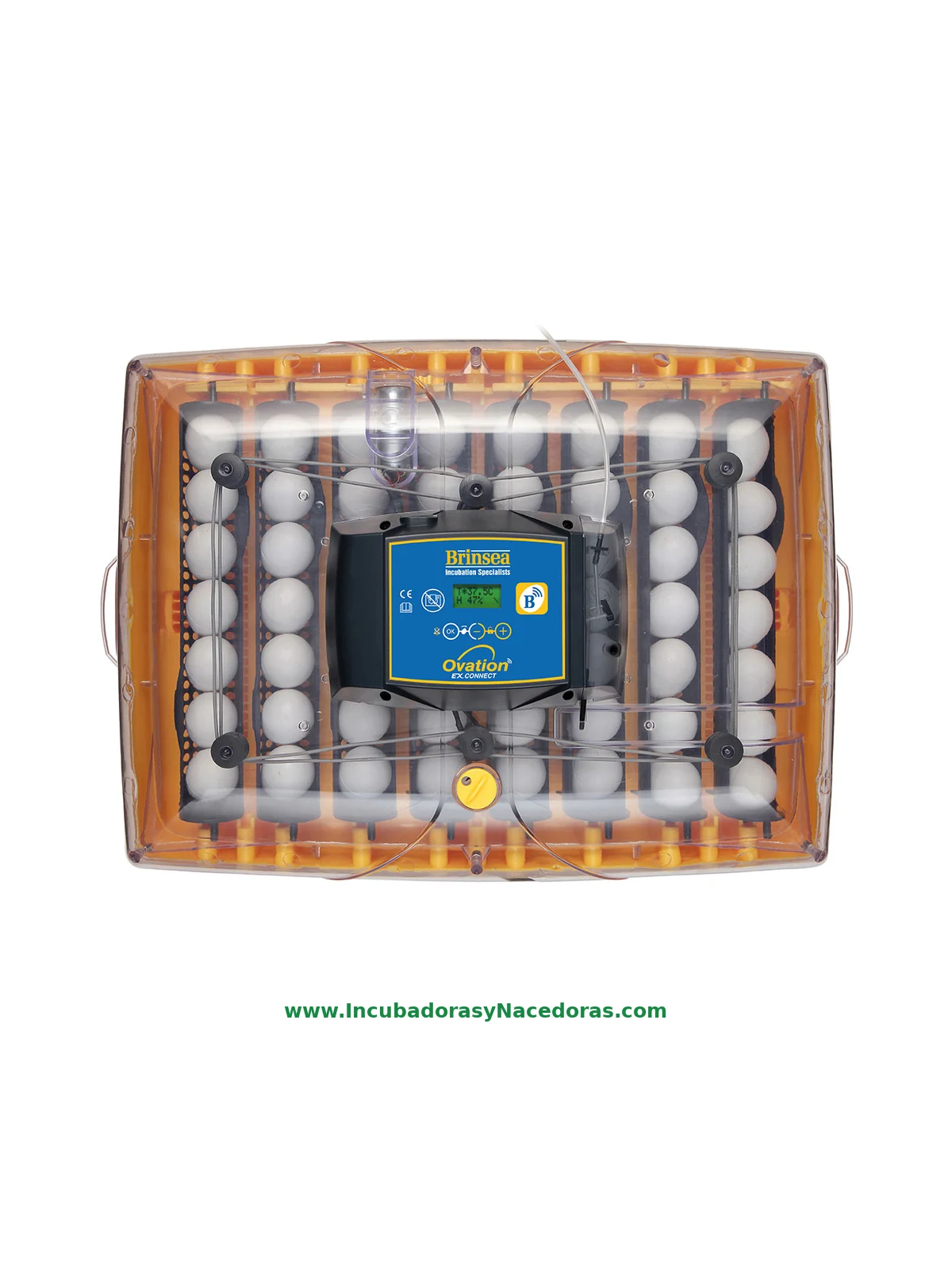 Incubadora Brinsea Ovation 56 Connect | Control móvil