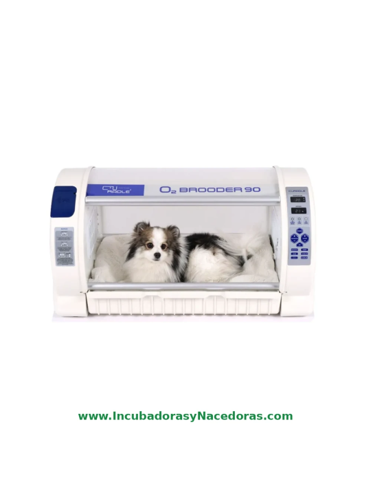 Criadora UCI Curadle Pet O2 Brooder 90