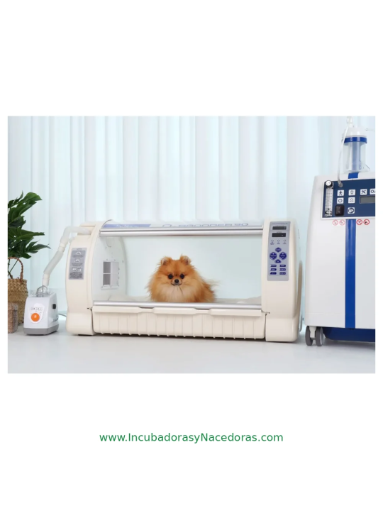 Criadora UCI Curadle Pet O2 Brooder 90