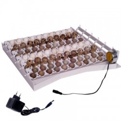 Sistema automático de volteo para 42 huevos con 6 bandejas