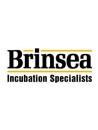 Brinsea